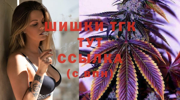 мдпв Заволжье
