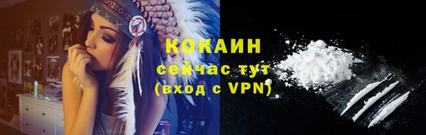 соль курить ск Заводоуковск