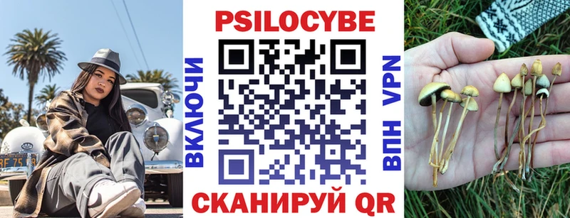 Купить  Гагарин  Псилоцибиновые грибы Cubensis 