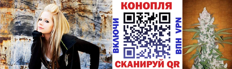 Шишки марихуана сатива  Купить где  Гагарин 